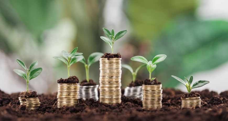 Banking & Finance