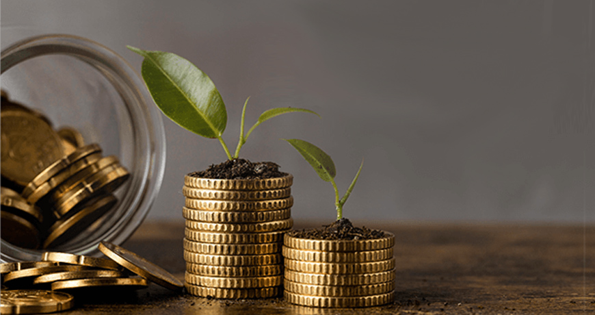 Banking & Finance
